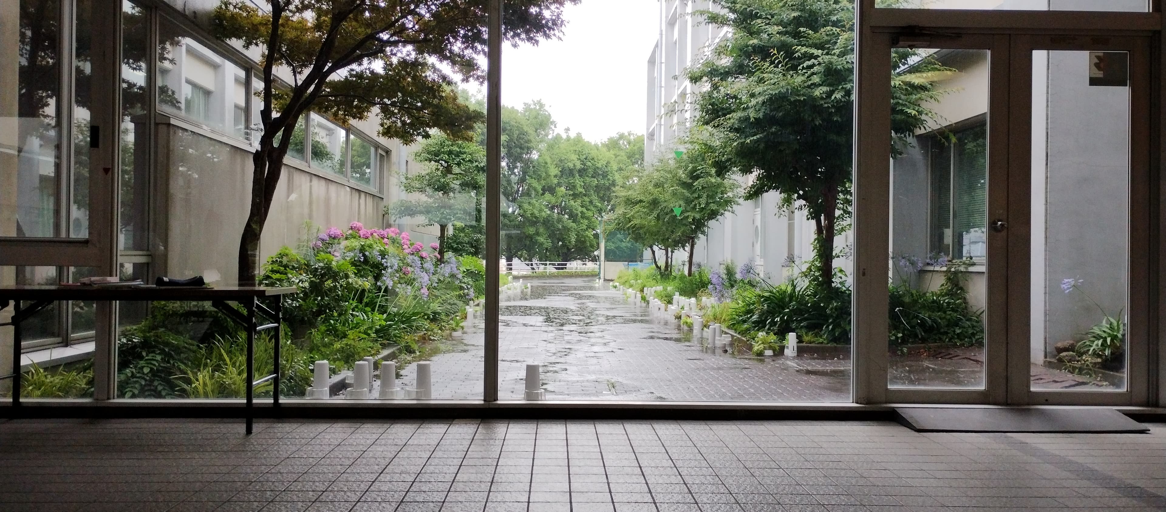 展示の様子